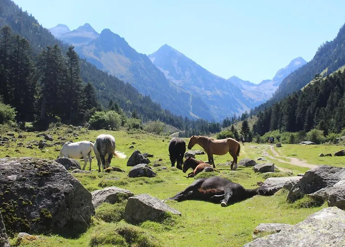 Jolie En Rdc Appartement